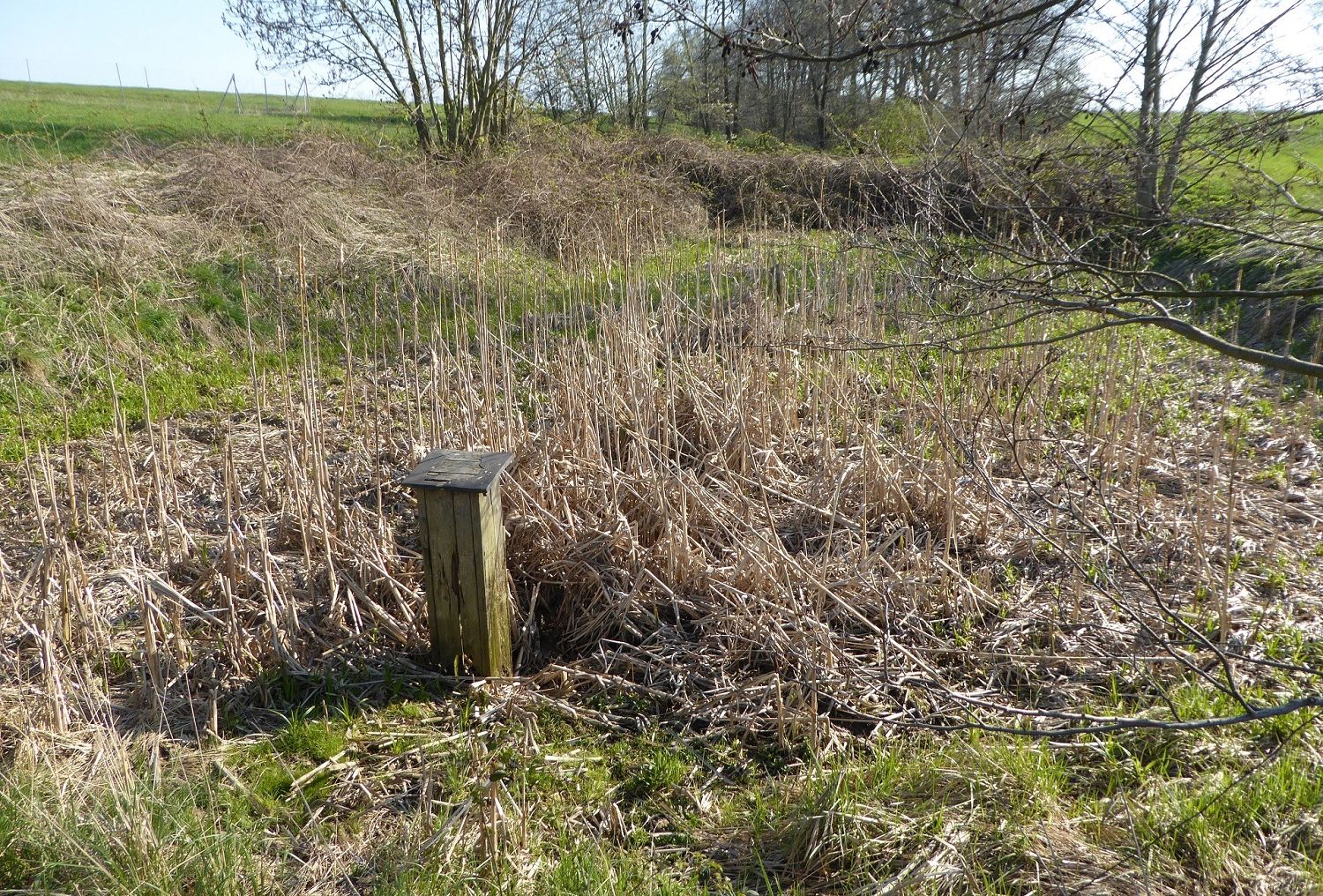 Gewässerrevitalisierung von drei Teichen (Obere FriedemannTeiche