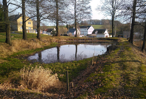 Gewässerrevitalisierung Östlicher OttoTeich Marbach