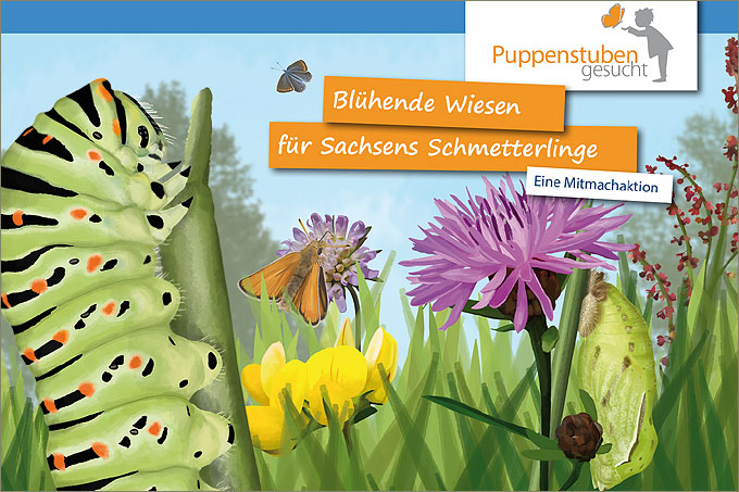 Puppenstuben gesucht